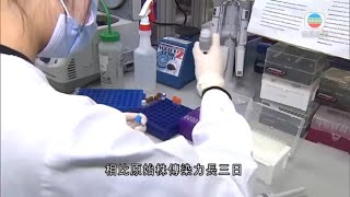 無綫香港新聞TVB News 港大研究指Omicron病毒停留多種光滑表面七天仍具傳染力｜三名確診者拒絕前往隔離被控妨礙公職人員罪 屬疫情以來首次 -20220312
