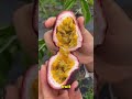 these are strangest fruits in the world shorts