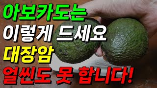 아보카도 이렇게 먹으면 대장암 얼씬도 못 합니다! 몸속 염증 다이어트 효과 대장 건강에 좋은 음식!