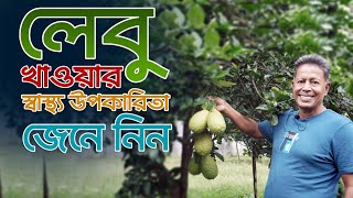 লেবু খাওয়ার স্বাস্থ্য উপকারিতা জেনে নিন | Lemon | DR MUJIBUR RAHMAN