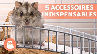 5 ACCESSOIRES INDISPENSABLES pour HAMSTER 🐹 (Préparation de la Cage)