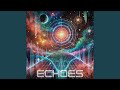 Interstellar Echoes