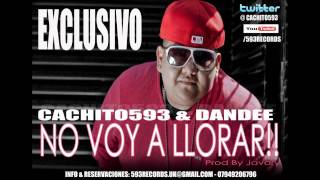 Cachito593 \u0026 Dandee - No Voy A LLorar - ( Salsa Urbana)