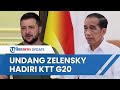 Zelensky Mengaku Diundang Jokowi ke KTT G20 di Bali, Putin Kemungkinan Juga Akan Hadiri Pertemuan