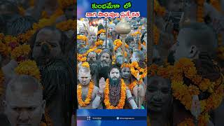 కుంభ మేళాలో నాగ సాధువుల ప్రత్యేకత | Phanindra Gotety | Victory Wings