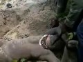 Nigerian Girl Raped & Buried Alive by Gang