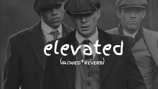 Elevated ( Slowed + Reverb) - PAARTH ||  Shubh - Audio edit