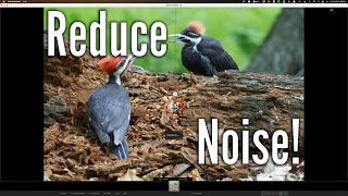 REDUCE NOISE With DxO PureRaw ver 1.5