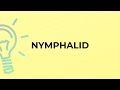 What is the meaning of the word NYMPHALID?