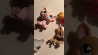 Small LPS Flea Market haul! #lps #littlestpetshop #fleamarket #fleamarketfinds