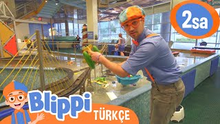 Blippi Bir Çocuk Müzesi Ziyaret Ediyor | BLIPPI | Çocuk Çizgi Filmleri | Moonbug Kids Türkçe