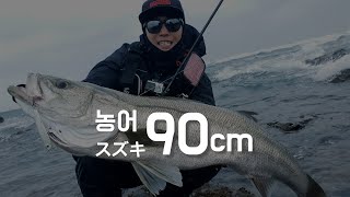 괴물농어 (90cm)  여밭에서 끌어 올리기 /올바른 릴리즈 방법