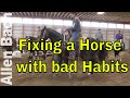 Fixing a Horse that wants to Swing His Rear in the Box - Allen Bach Team Roping Tips