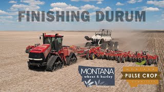 Planting Durum in Sheridan County MT; Blake Rasmussen