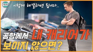 해외여행 위탁 수하물로 보낸 내 캐리어가 목적지 공항에 도착하지 않았다면?[해외안전여행TV]