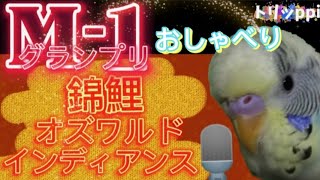 【M-1グランプリ】『錦鯉』『オズワルド』『インディアンス』インコおしゃべり♪セキセイインコ