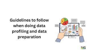 Guidelines for data profiling and data preparation using python