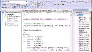 EmEditor Text Editor Projects Plug-in Extended Tutorial Feature