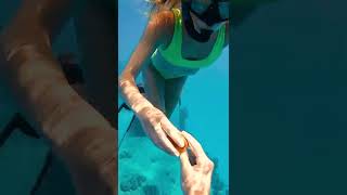 Swimsuit Doubles As A Shell Holster #shorts
