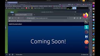 Web Enumeration TryHackMe WalkThrough
