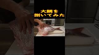 【釣り料理】料理下手の釣師が、大鯛を捌いてみた！！#shorts