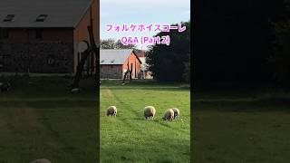 デンマークのフォルケホイスコーレQ\u0026A Part 2