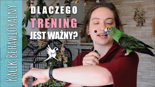 #3 Kącik behawioralny - DLACZEGO TRENING JEST WAŻNY?