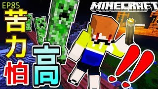 【Minecraft】茶杯原味生存Ep85 苦力怕怕高!? 你比較怕高?還是苦力怕?【當個創世神,麥塊】