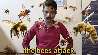 #honeybee 🤕snake rescueकरना अलग बात मधुमक्खी के छत्ते को छेड़ना बहुत खतरनाक हैbeehive is dangerous.