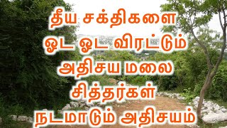 SIDDAR MIRACLESதீய சக்திகளை ஓட ஓட விரட்டும் அதிசய மலை சித்தர்கள் நடமாடும் அதிசயம்