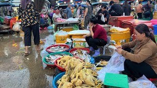 CAMBODIAN FISH MARKET @CHHBAR AMPOV - A Massive Alive Fish, Dry Fish \u0026 More Selling In Fish Market