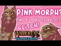 WCUE Secret: Turn Your Morph Pink with This New Glitch!