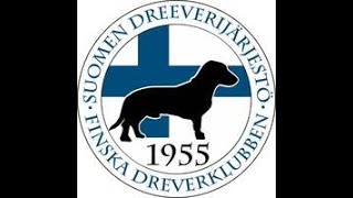 Dreeverien SM 2021 perjantain iltatilaisuus