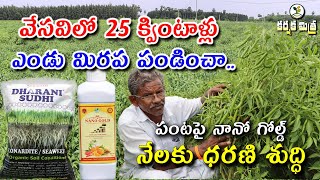 వేసవి మిరప సాగుతో భరోసా పెరిగింది || Success Story of Chilli Cultivation in Summer || Karshaka Mitra