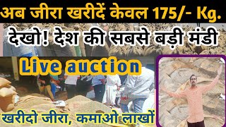 अब जीरा खरीदें केवल 175/Kg.| देखो live auction | देश की सबसे बड़ी और सस्ती जीरे की मंडी देखो |