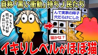 【中二王】彡(ﾟ)(ﾟ)「キレたら自分の闇がワッて出て制御きかくなる」→ネットの闇王決定戦【2ch面白いスレ】