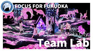 [Focus For Fukuoka] #09 Explore teamLab★Forest Fukuoka: A Magical Light Experience!