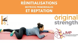 Original Strength réinitialisation et reptation - Intégration Motrice Primordiale (IMP)