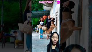 DOGGY PINTAR TEMANI ADEK BELAJAR‼️#shorts #funny #dubbing