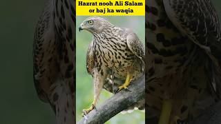 Hazrat nooh Ali Salam or baj ka waqia#shorts#vital #youtube shorts#islamic videos