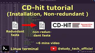CD-hit tutorial | Beginner Tutorial #bioinformatics #bioinfo #tutorial