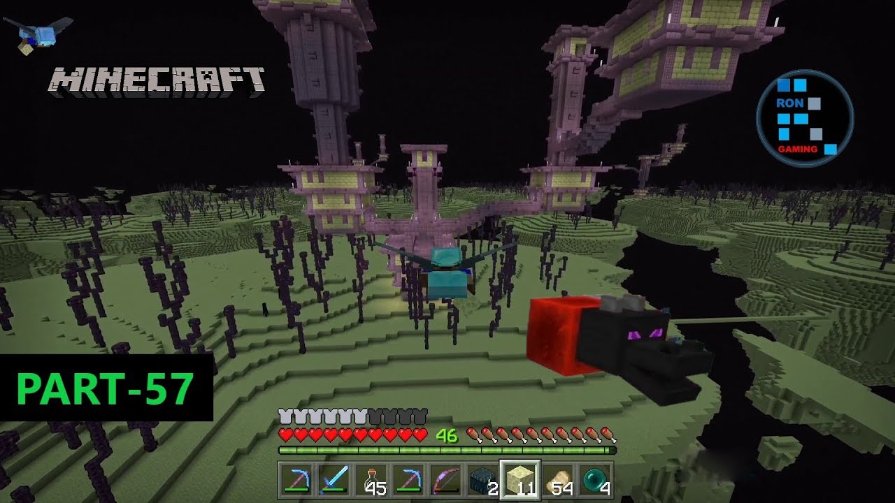 Do All End Ships Have Elytra At Michele Fields Blog