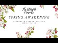 Spring Awakening - Berklee Motion Picture Orchestra 2021 Concert