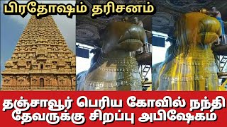 பிரதோஷம் | தஞ்சாவூர் பெரிய கோவில் நந்தி தேவருக்கு சிறப்பு அபிஷேகம்.. #tanjore @mahadivine