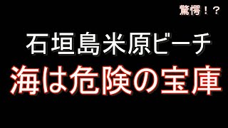 やば！石垣島米原ビーチで恐怖体験・・・・怖い　2023年5月