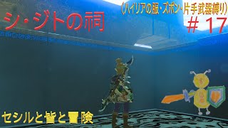 ゼルダの伝説　　シ・ジトの祠　セシルと皆と冒険＃17（ハイリアの服、ズボン、片手武器縛り）