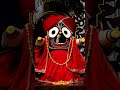 new jagannath bhajan status video mahabahu mahabahu ahe mahabahu status viral bhajan