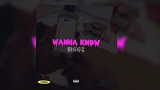 BiggzNTL - Wanna Know (Prod. NGBeatPlug)