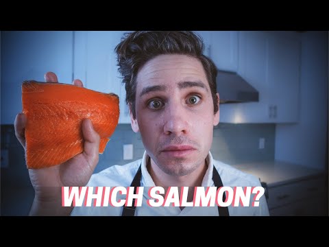 A Guide to Buying Salmon at the Supermarket