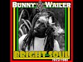 BUNNY WAILER - Power Struggle / Power Struggle Version (1978)